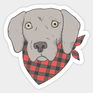 good boy - Weimaraner dog Sticker